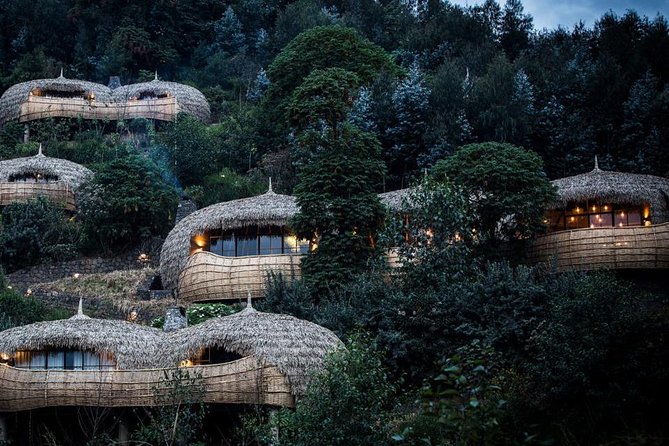 2 Days Mountain Gorilla Safari Rwanda - Highlights of the Safari