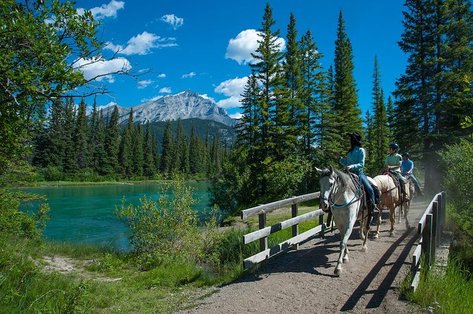 2 Hour Banff Horseback Riding Adventure - Meeting Point and Logistics