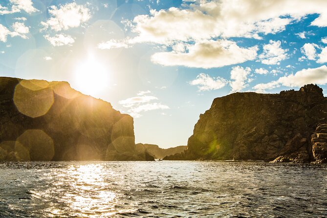 2 Hour Boat Tour in Twillingate - Directions to Meeting Point