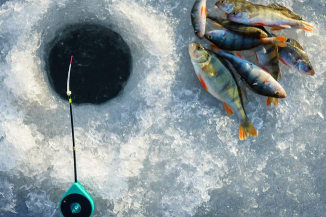 2-Hour Ice Fishing Experience in Rovaniemi, Finland - Contact Information