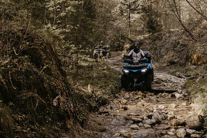 2 Hour Scenic Quad Tour in Bled - Notable Reviews