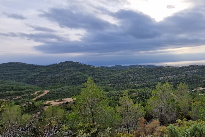 2-Hours 4X4 Tour in Spetses Safari - Booking and Pricing