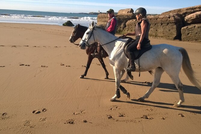 2 Hours Horse Ride Beach and Dunes in Essaouira Morocco - Important Notes
