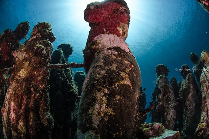 2 Tank Dives MUSA and Manchones Reef (Certified Divers) - Dive Site Highlights