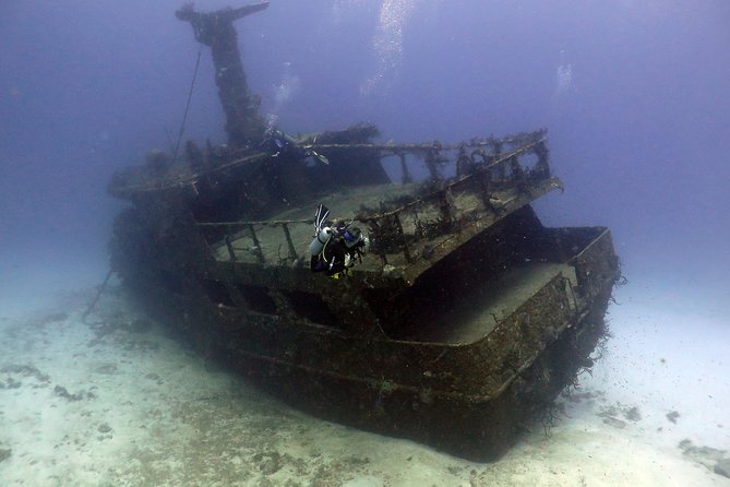 2-Tank Morning or Afternoon Dives in Playa Del Carmen Certified Divers Only - Considerations for Solo Travelers