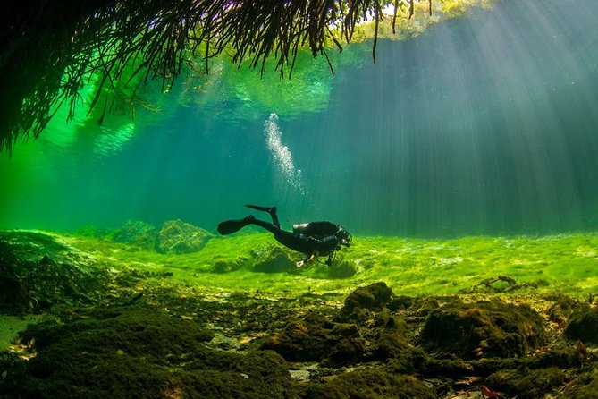 2 Tanks Cenote Diving Adventure in Tulum for Certified Divers - Exceptional Underwater Landscapes