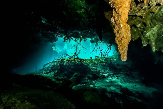 3 Cenote Dives - Casa & Dos Ojos - Diving Precautions