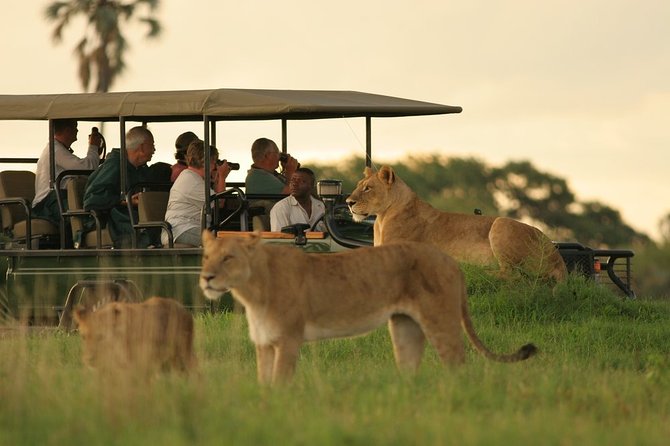 3-Day Chobe National Park Camping Safari From Victoria Falls - Booking and Pricing