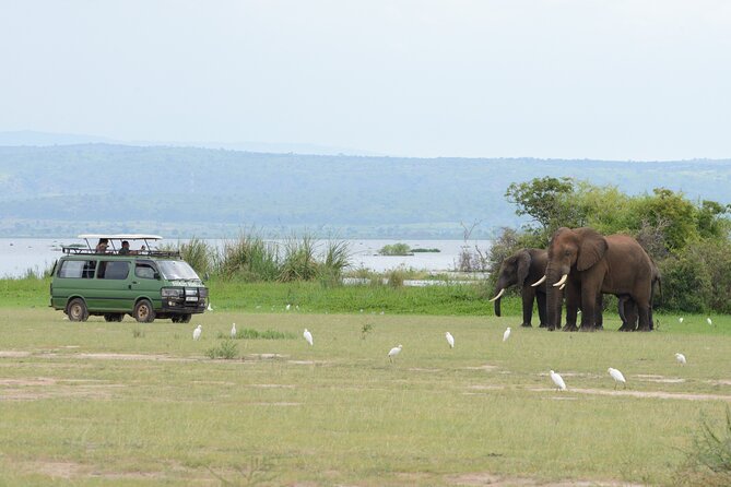 3 Day Murchison Falls BIG 5 and Wildlife Viewing Safari - Transportation and Accessibility