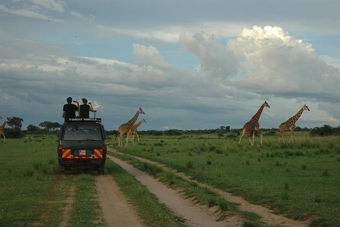 3-Day Murchison Falls National Park - Adventure Safari - Accommodations and Meals