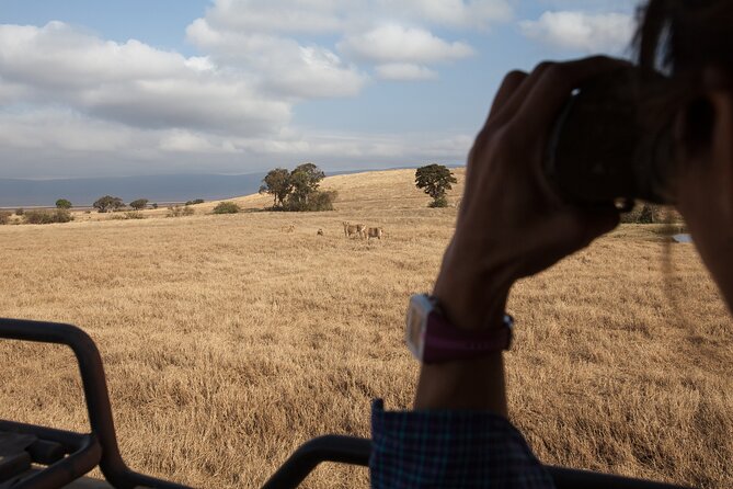 3 Day Private Serengeti Safari Tour With One Way Flight - Cancellation Policy