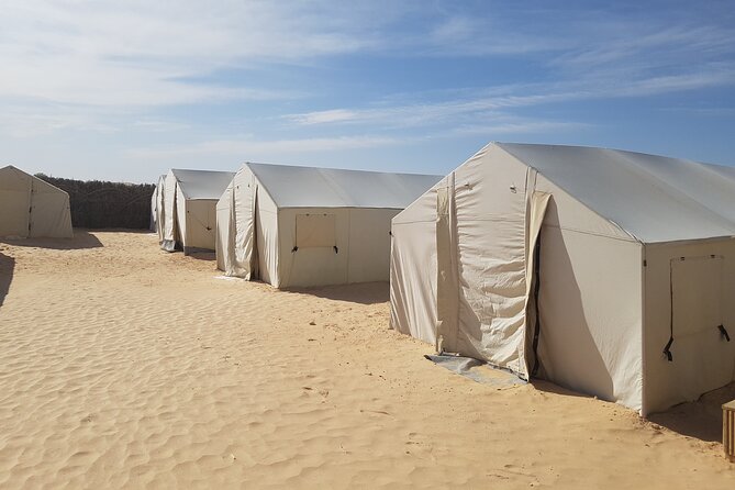 3-Day Tunisia Sahara Desert Camel Trek From Douz - Guest Reviews and Testimonials