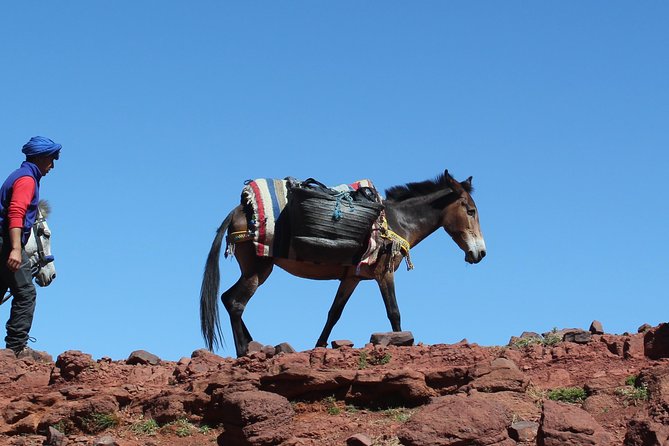 3 Days Berber Villages Hike (Atlas Mountains) - Trekking Through the Atlas Mountains