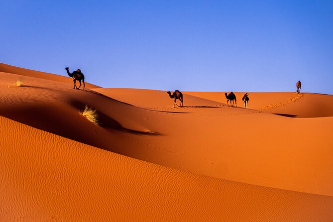 3-Days Desert Tour From Marrakech - Preparation Tips