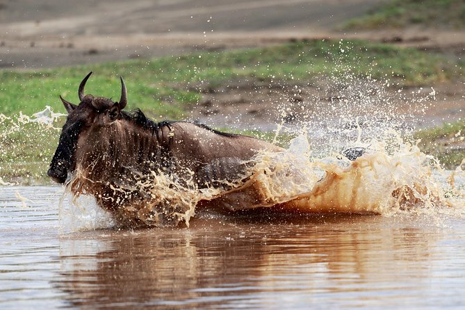 3 Days Luxury Lodge Safari in Tanzania - Health and Accessibility Considerations