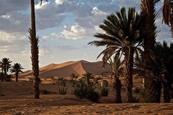 3 Days Luxury Private Desert Tour From Fez to Marrakech - Camel Riding at Sunset