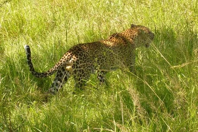 3 Days Selous Game Reserve Fly From Zanzibar - Health and Safety Considerations