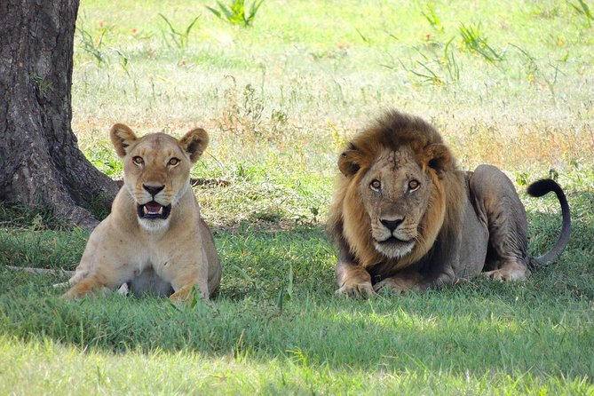 3 Days Tarangire, Manyara & Ngorongoro Budget Lodge Safari Tour Tanzania - Logistics and Pickup