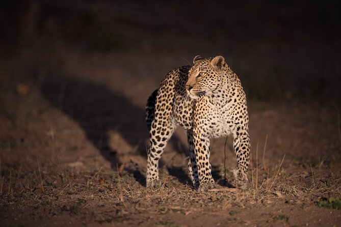 3 Days Tour Masai Mara Safari From Nairobi - Booking and Cancellation Policy