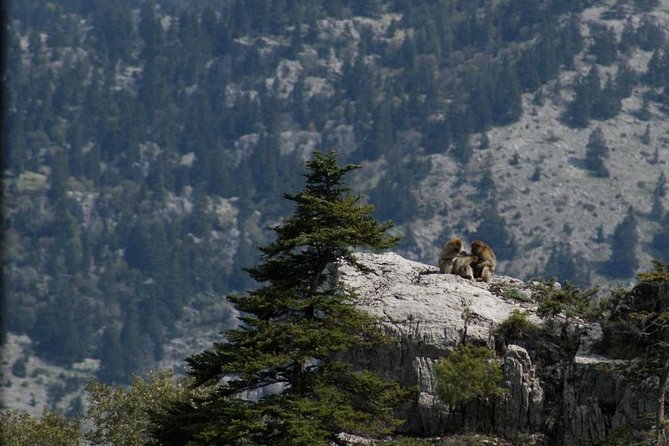 3 Days Trekking From Chefechaouen - Logistical Information