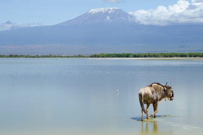 3 Days Tsavo East & Amboseli (2 Nights) - Frequently Asked Questions