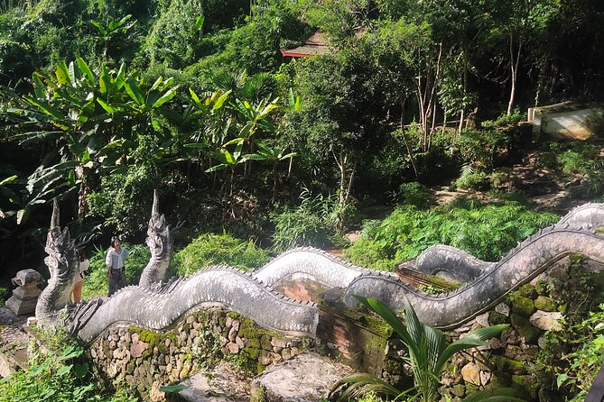 3 Experiences: Doi Suthep Temple, Wat Phalat & Elephants - Tour Inclusions and Amenities