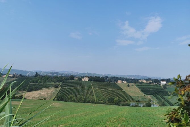 3 Hour E-Bike Tour With Parmesan and Balsamic Vinegar - Scenic Countryside Cycling