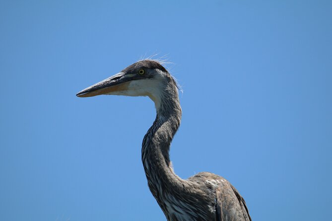 3-Hour St Pete Private Water Adventure Tour for 6 Guests - Booking Information