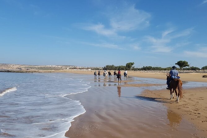 3 Hours Horse Riding in Essaouira, Beach, Forest and Dunes - Meeting Point and Pickup Details