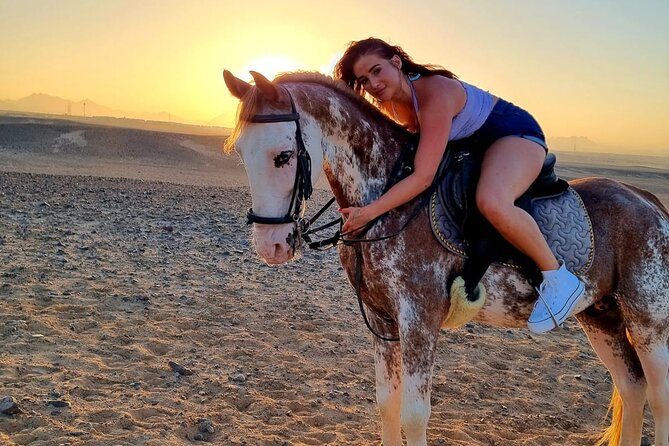 3 Hours Swimming By Horse in Red Sea Riding on the Beach and Dessert - Hurghada - Accessibility Information