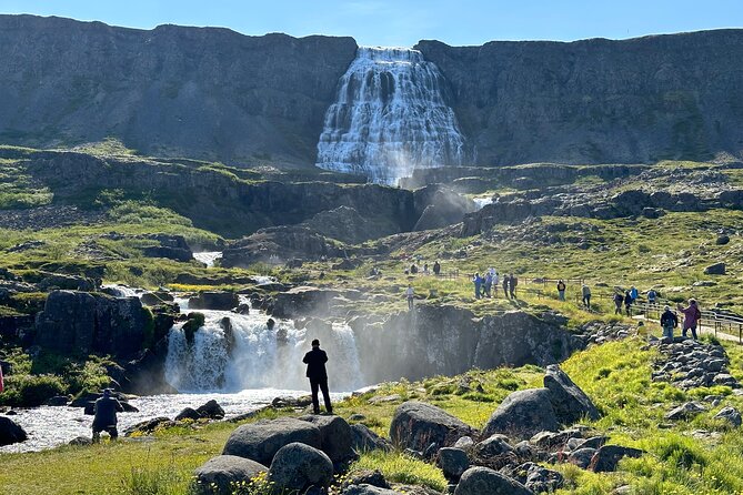3,5-Hour Sightseeing Tour To Dynjandi Waterfall - Ideal for Travelers of All Levels