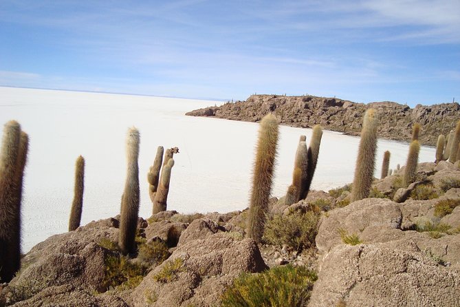 3D 2N Uyuni Salt Flats by Flight From La Paz to Atacama, Chile - Health and Safety Considerations