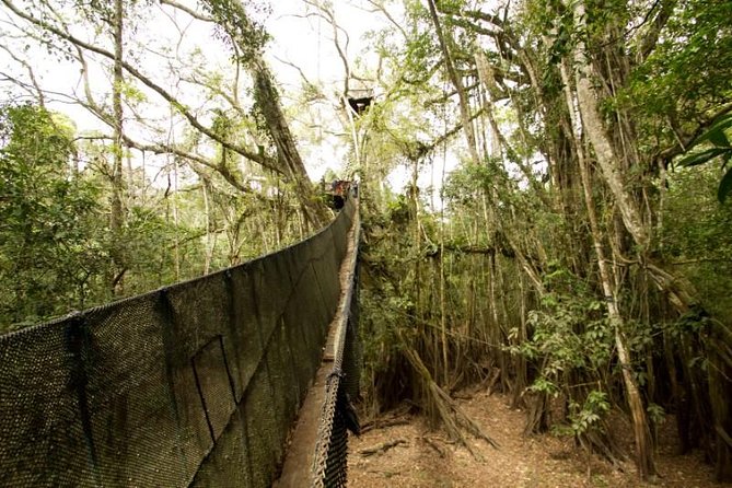 4-Day Amazon Eco-Lodge Tour From Puerto Maldonado - Tour Reviews