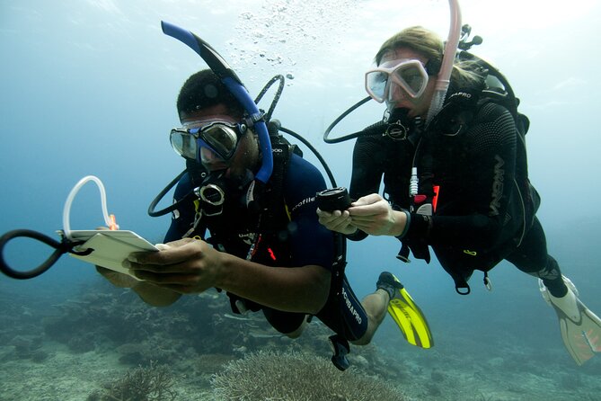 4 Day Certified PADI Open Water Scuba Diver in Dubai - Highlights and Unique Experiences