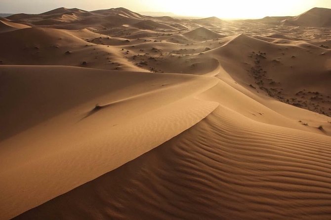 4 Day Desert Tour From Marrakech - Touring Movie Studios and Oases
