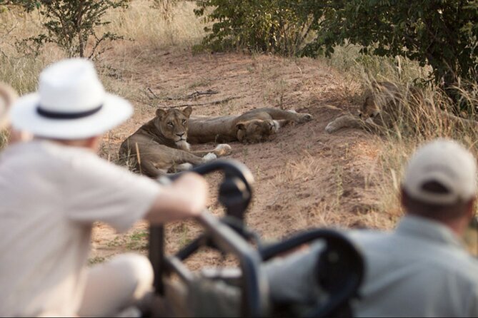 4 Day Greater Kruger Kapama Game Lodge Safari With Panorama Route Journey - Booking and Confirmation