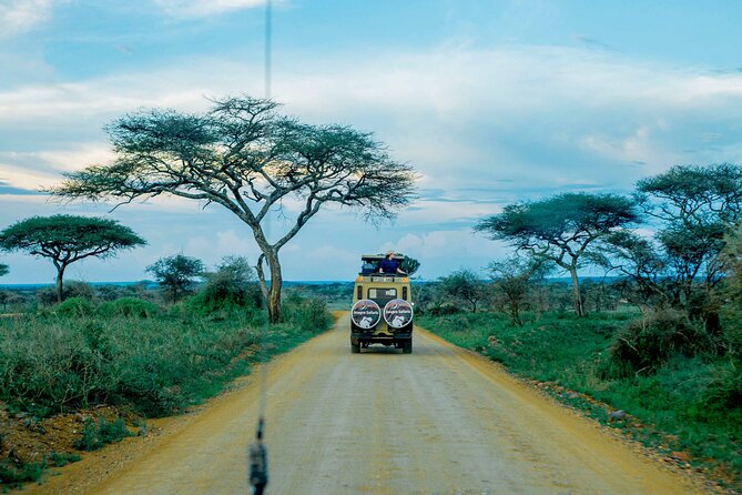 4-Day Group Joining Safari in Tanzania | Shared Safari - Frequently Asked Questions