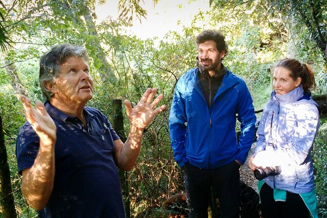 4-Day Private Natal Midlands Falls to Falls Tour - Traveler Reviews