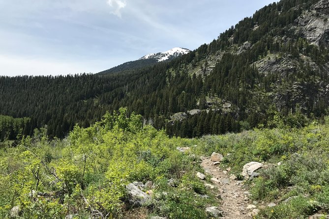 4-Day Small Group Tour: Yellowstone and Tetons Camping From Salt Lake City - Jaw-Dropping Yellowstone Landscapes