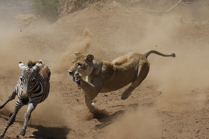 4 Days 3 Nights Safari- Tarangire, Serengeti and Ngorongoro Crater - Pickup and Accessibility