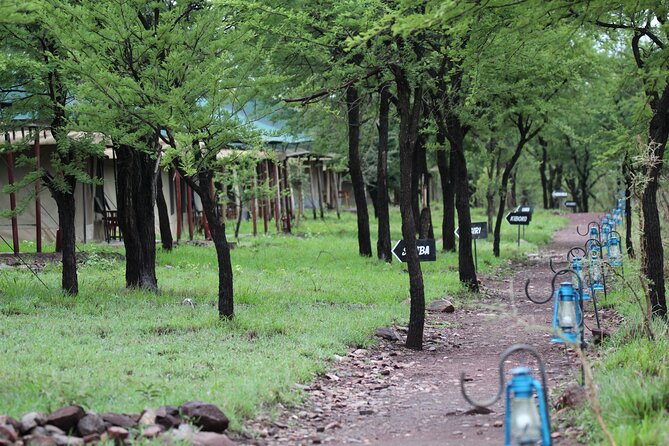 4 Days 3 Nights Tanzanian Budget Safari Tour - Cancellation Policy