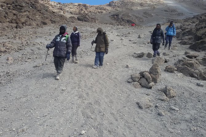 4 Days Mt Kenya Climb, Chogoria Route up and Out Sirimon Route - Traveler Feedback