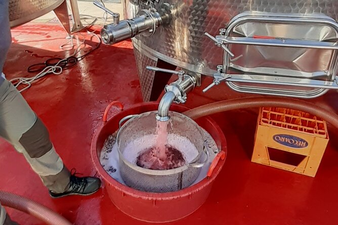 4-Hour Guided E-bike Tour of the Two Wineries in Bardolino - Highlights From Participant Reviews