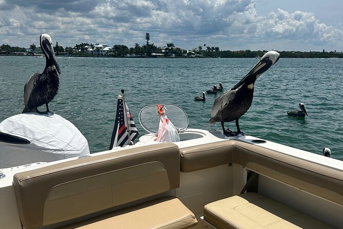 4 Hour Private Boat Tour in Sarasota Bay - What to Expect