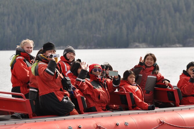 4 Hour Zodiac Whale and Wildlife Tour - Important Details