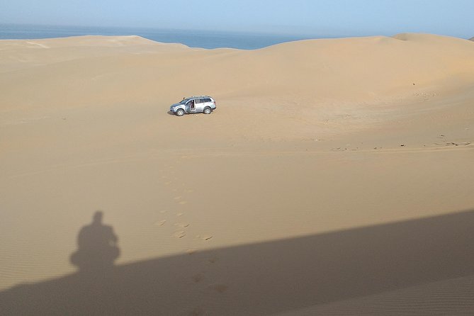4 Hours.Agadir : Trip to Sahara and Tifnit Fishing Village - Suitability and Recommendations
