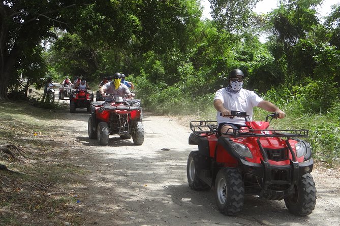 4-Wheel Adventure - Reviews and Feedback