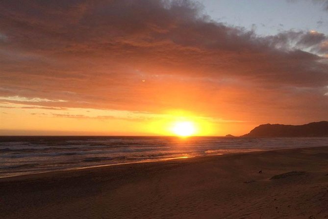 5 Day Cape to Addo Safari - Garden Route Small Group Tour - Participant Requirements