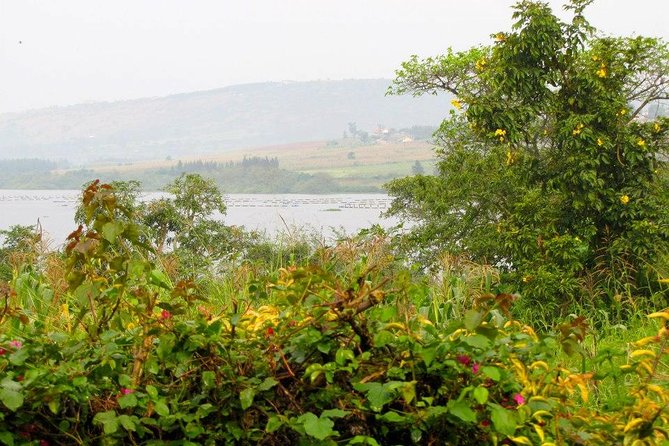 5 Day Gorillas, Wildlife and Kalinzu Forest Chimp Trek - Health and Fitness Requirements