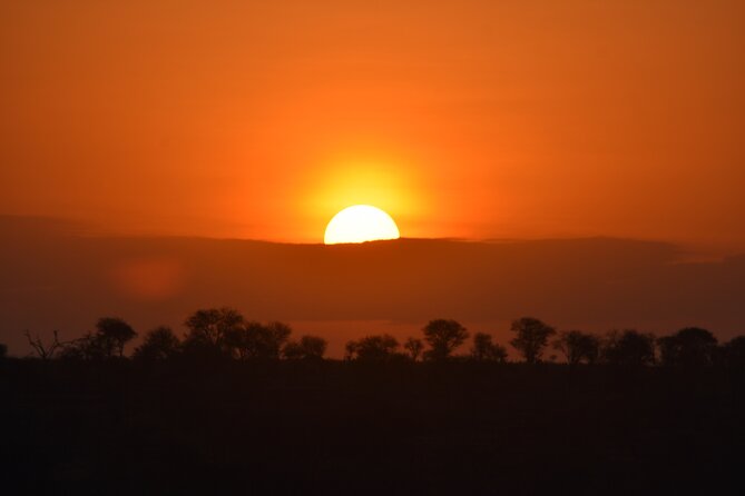 5-Day Private Safari in Serengeti Np & Ngorongoro Crater - Transportation and Logistics